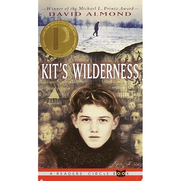 Amazon.com: Adrian Mole: The Wilderness Years: 9781405920230